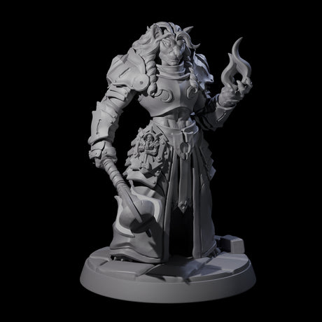 Magic Making Leonin Wizard Miniature for Dungeons and Dragons, Pathfinder or other TTRPGs