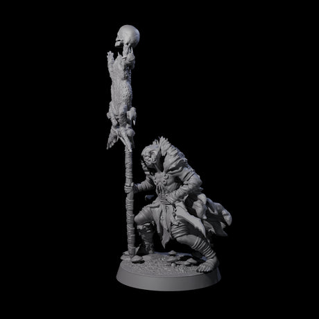 Marsh Goblin Bannerman Miniature for Dungeons and Dragons, Pathfinder or other TTRPGs