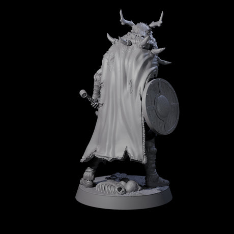 Masked Ice Clan Warrior A Miniature for Dungeons and Dragons, Pathfinder or other TTRPGs