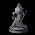 Masked Robed Cultist B Miniature for Dungeons and Dragons, Pathfinder or other TTRPGs