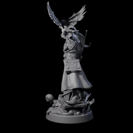 Master of Death Nercomancer Miniature for Dungeons and Dragons, Pathfinder or other TTRPGs