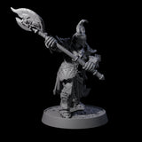 Mercenary of the Golden Circle B Miniature for Dungeons and Dragons, Pathfinder or other TTRPGs