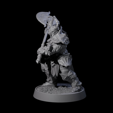 Mercenary of the Golden Circle B Miniature for Dungeons and Dragons, Pathfinder or other TTRPGs