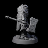 Mercenary of the Golden Circle C Miniature for Dungeons and Dragons, Pathfinder or other TTRPGs