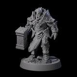 Mercenary of the Golden Circle C Miniature for Dungeons and Dragons, Pathfinder or other TTRPGs