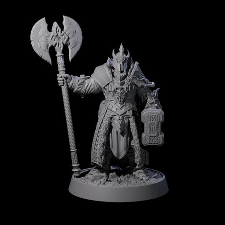 Mercenary of the Golden Circle H Miniature for Dungeons and Dragons, Pathfinder or other TTRPGs