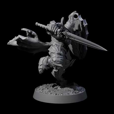 Mercenary of the Golden Circle I Miniature for Dungeons and Dragons, Pathfinder or other TTRPGs