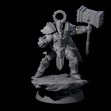 Mercenary of the Golden Circle J Miniature for Dungeons and Dragons, Pathfinder or other TTRPGs