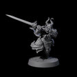 Mercenary of the Golden Circle L Miniature for Dungeons and Dragons, Pathfinder or other TTRPGs