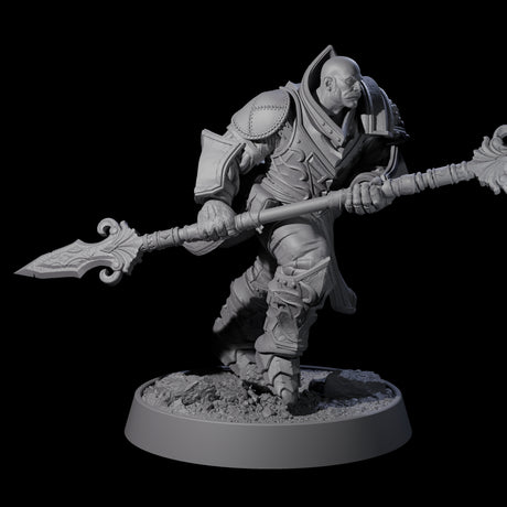 Mercenary of the Golden Circle M Miniature for Dungeons and Dragons, Pathfinder or other TTRPGs