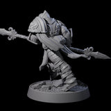 Mercenary of the Golden Circle M Miniature for Dungeons and Dragons, Pathfinder or other TTRPGs