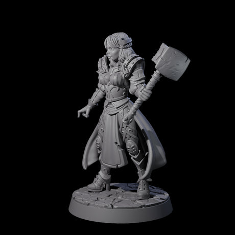 Mighty Hammer Fighter Miniature for Dungeons and Dragons, Pathfinder or other TTRPGs