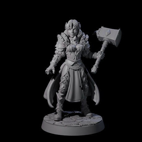 Mighty Hammer Fighter Miniature for Dungeons and Dragons, Pathfinder or other TTRPGs