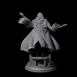Muscular Pirate Blade Dancer Miniature for Dungeons and Dragons, Pathfinder or other TTRPGs