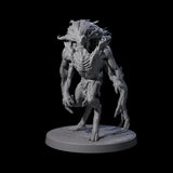 Mutated Wyrmspawn A Miniature for Dungeons and Dragons, Pathfinder or other TTRPGs