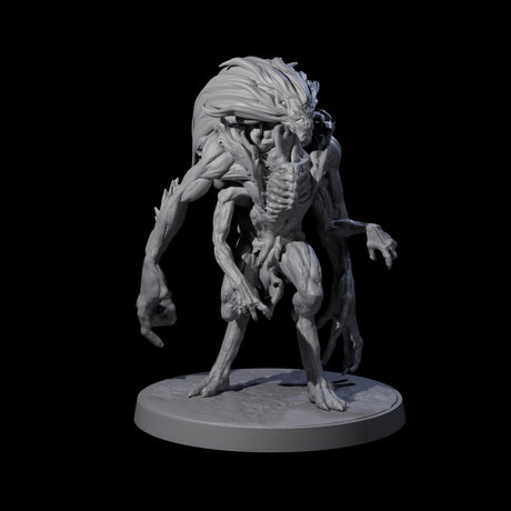 Mutated Wyrmspawn A Miniature for Dungeons and Dragons, Pathfinder or other TTRPGs