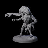 Mutated Wyrmspawn C Miniature for Dungeons and Dragons, Pathfinder or other TTRPGs