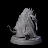Nefarious Drow Assassin A Miniature for Dungeons and Dragons, Pathfinder or other TTRPGs