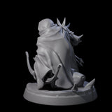 Nefarious Drow Assassin A Miniature for Dungeons and Dragons, Pathfinder or other TTRPGs