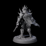 Nefarious Drow Assassin B Miniature for Dungeons and Dragons, Pathfinder or other TTRPGs