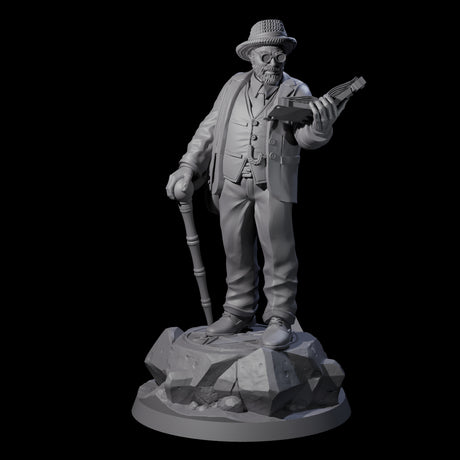 No Expense Spared Human Scholar Miniature for Dungeons and Dragons, Pathfinder or other TTRPGs