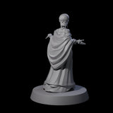 Noble Elf Maiden Miniature for Dungeons and Dragons, Pathfinder or other TTRPGs
