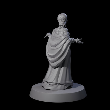 Noble Elf Maiden Miniature for Dungeons and Dragons, Pathfinder or other TTRPGs