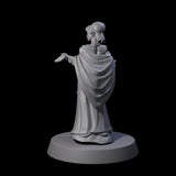 Noble Elf Maiden Miniature for Dungeons and Dragons, Pathfinder or other TTRPGs