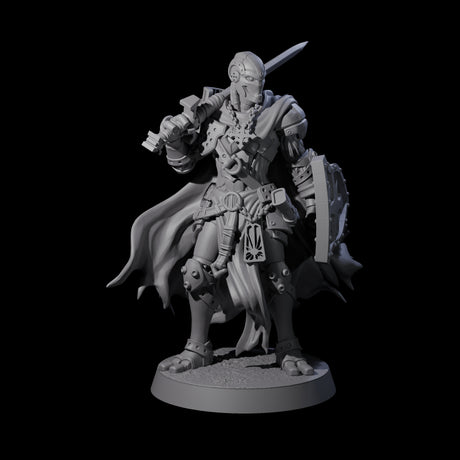 Noble Warforged Templars Miniature for Dungeons and Dragons, Pathfinder or other TTRPGs