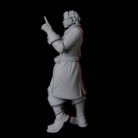Nobleman A Miniature for Dungeons and Dragons, Pathfinder or other TTRPGs