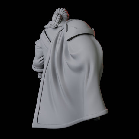 Nobleman B Miniature for Dungeons and Dragons, Pathfinder or other TTRPGs