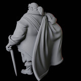 Nobleman B Miniature for Dungeons and Dragons, Pathfinder or other TTRPGs