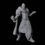 Nobleman C Miniature for Dungeons and Dragons, Pathfinder or other TTRPGs