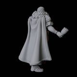 Nobleman C Miniature for Dungeons and Dragons, Pathfinder or other TTRPGs