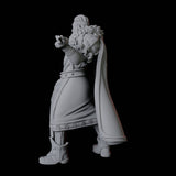 Nobleman C Miniature for Dungeons and Dragons, Pathfinder or other TTRPGs