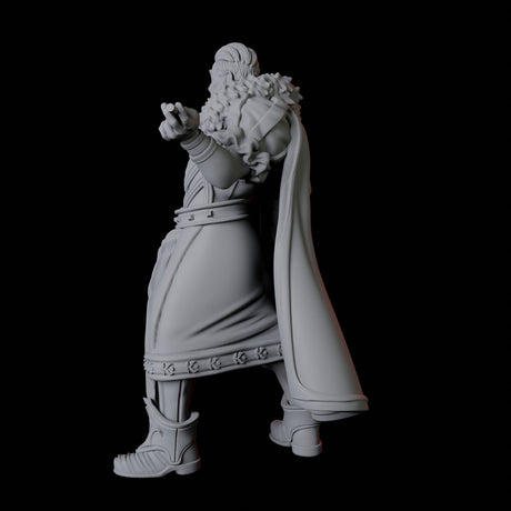 Nobleman C Miniature for Dungeons and Dragons, Pathfinder or other TTRPGs