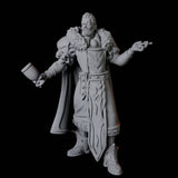 Nobleman C Miniature for Dungeons and Dragons, Pathfinder or other TTRPGs