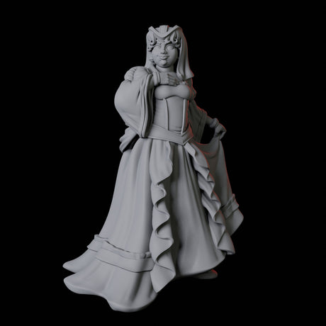 Noblewoman C Miniature for Dungeons and Dragons, Pathfinder or other TTRPGs