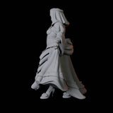 Noblewoman C Miniature for Dungeons and Dragons, Pathfinder or other TTRPGs