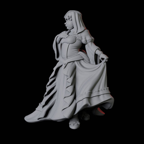 Noblewoman C Miniature for Dungeons and Dragons, Pathfinder or other TTRPGs