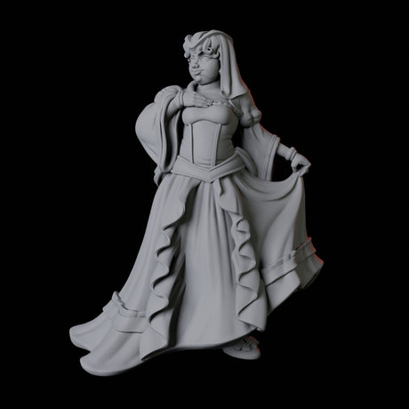 Noblewoman C Miniature for Dungeons and Dragons, Pathfinder or other TTRPGs
