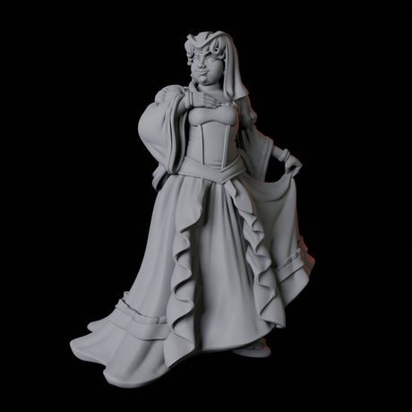 Noblewoman C Miniature for Dungeons and Dragons, Pathfinder or other TTRPGs