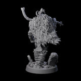 Northern Tribe Barbarian Miniature for Dungeons and Dragons, Pathfinder or other TTRPGs