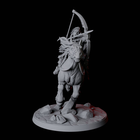 Northman Warrior Horseman D Miniature for Dungeons and Dragons, Pathfinder or other TTRPGs