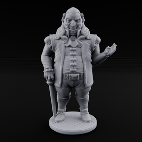 Now Look Here Human Noble Miniature for Dungeons and Dragons, Pathfinder or other TTRPGs