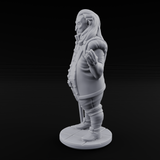 Now Look Here Human Noble Miniature for Dungeons and Dragons, Pathfinder or other TTRPGs