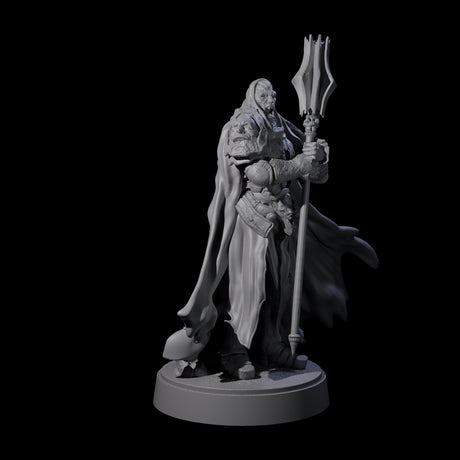On Guard Death Knight A Miniature for Dungeons and Dragons, Pathfinder or other TTRPGs