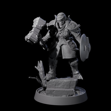 Ornate Palace Guard B Miniature for Dungeons and Dragons, Pathfinder or other TTRPGs
