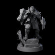 Ornate Palace Guard B Miniature for Dungeons and Dragons, Pathfinder or other TTRPGs