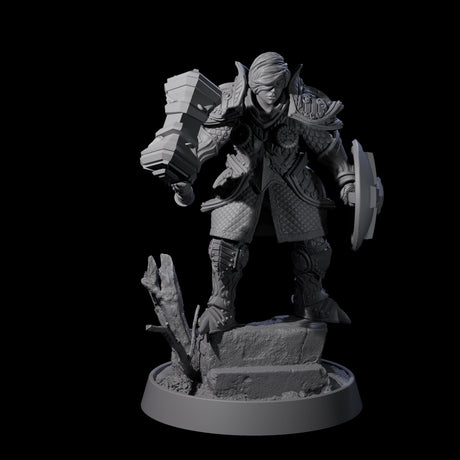 Ornate Palace Guard B Miniature for Dungeons and Dragons, Pathfinder or other TTRPGs